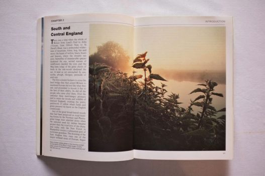 A double-page spread photograph of dewy nettles accompanies an excerpt from Wild Britain by Douglas Botting.