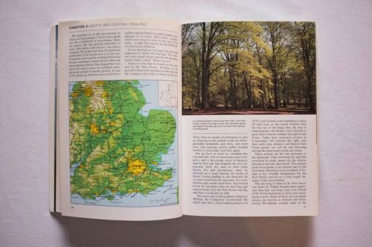 An excerpt from Wild Britain is illustrated by a map of south-east England and a photograph of the New Forest.