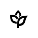 Ankorstore logo