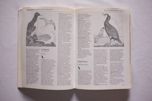 An excerpt from Wild Britain describes the Northumberland coastline, featuring illustrations of birds.