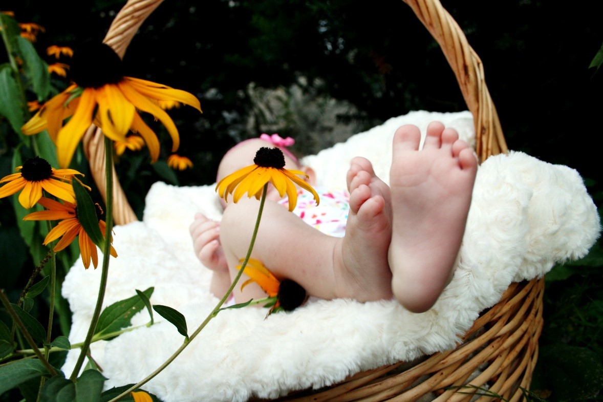 Photo of baby in basket